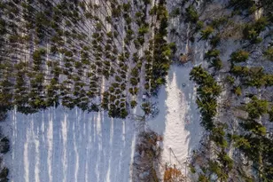 W5825 County Rd Z, Westfield, WI 53964 - Photo 55