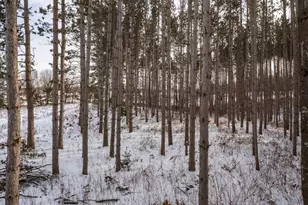 W5825 County Rd Z, Westfield, WI 53964 - Photo 41