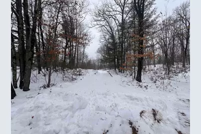 Nejedlo Lane, Wausaukee, WI 54177 - Photo 1