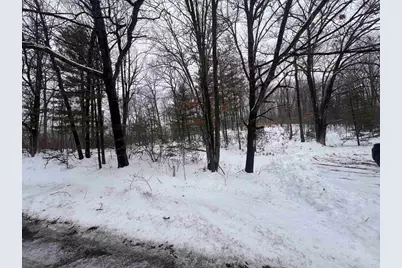 Nejedlo Lane, Wausaukee, WI 54177 - Photo 3