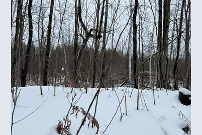 W17810 W Eland Road, Wittenberg, WI 54499 - Photo 77