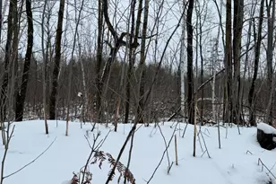 W17810 W Eland Rd, Wittenberg, WI 54499 - Photo 77