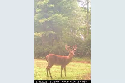 W17810 W Eland Road, Wittenberg, WI 54499 - Photo 53