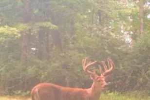 W17810 W Eland Rd, Wittenberg, WI 54499 - Photo 53