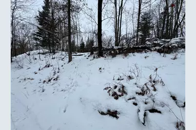 W17810 W Eland Road, Wittenberg, WI 54499 - Photo 75