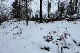 W17810 W Eland Rd, Wittenberg, WI 54499 - Photo 75