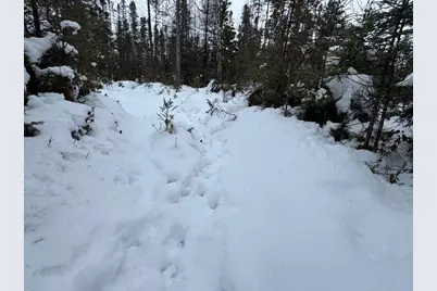 W17810 W Eland Road, Wittenberg, WI 54499 - Photo 81