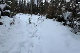 W17810 W Eland Rd, Wittenberg, WI 54499 - Photo 81