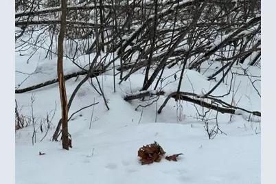 W17810 W Eland Road, Wittenberg, WI 54499 - Photo 65