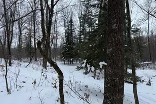 W17810 W Eland Rd, Wittenberg, WI 54499 - Photo 59