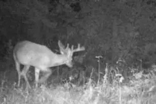 W17810 W Eland Rd, Wittenberg, WI 54499 - Photo 47