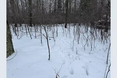 W17810 W Eland Road, Wittenberg, WI 54499 - Photo 55