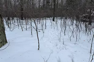 W17810 W Eland Rd, Wittenberg, WI 54499 - Photo 55