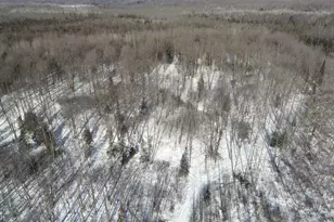 W17810 W Eland Rd, Wittenberg, WI 54499 - Photo 85