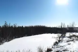 W17810 W Eland Rd, Wittenberg, WI 54499 - Photo 31