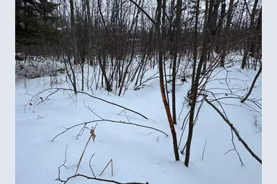 W17810 W Eland Road, Wittenberg, WI 54499 - Photo 67