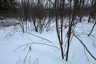 W17810 W Eland Rd, Wittenberg, WI 54499 - Photo 67