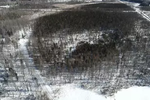 W17810 W Eland Rd, Wittenberg, WI 54499 - Photo 45