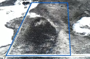 W17810 W Eland Rd, Wittenberg, WI 54499 - Photo 29