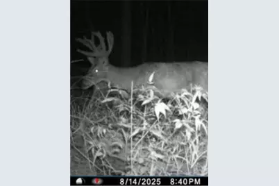 W17810 W Eland Road, Wittenberg, WI 54499 - Photo 35