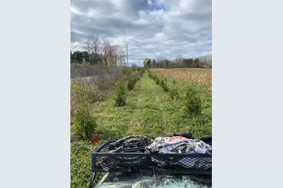 W17810 W Eland Road, Wittenberg, WI 54499 - Photo 79