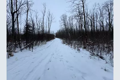 W17810 W Eland Road, Wittenberg, WI 54499 - Photo 63