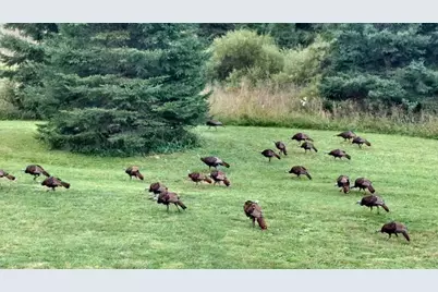 75500 Joe Rein Road, Glidden, WI 54527 - Photo 43