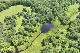 75500 Joe Rein Rd, Glidden, WI 54527 - Photo 33