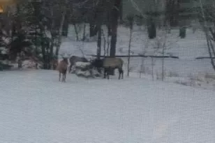 75500 Joe Rein Rd, Glidden, WI 54527 - Photo 47