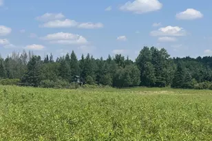 75500 Joe Rein Rd, Glidden, WI 54527 - Photo 51