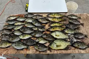 75500 Joe Rein Rd, Glidden, WI 54527 - Photo 45