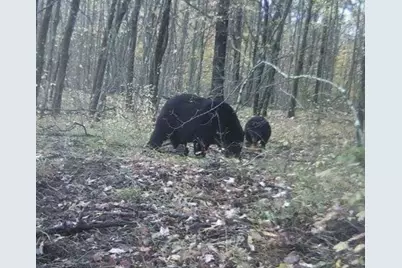 W13541 Brooks Lane, Crivitz, WI 54114 - Photo 13