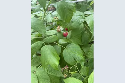 205 Alpine Drive, Shawano, WI 54166 - Photo 41