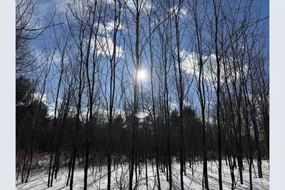 Settlement Road, Gillett, WI 54124 - Photo 17