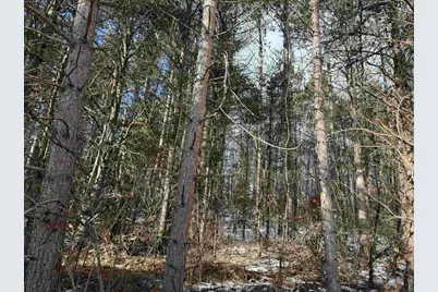 Settlement Road, Gillett, WI 54124 - Photo 19