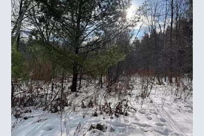 Settlement Road, Gillett, WI 54124 - Photo 25