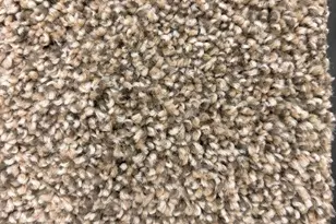 2509 Lawrence Dr, De Pere, WI 54115 - Photo 15