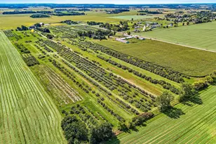 253 County Hwy Ce, Kaukauna, WI 54130 - Photo 45