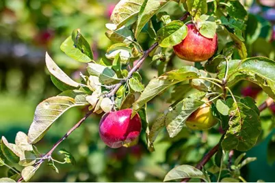 253 County Hwy Ce, Kaukauna, WI 54130 - Photo 33