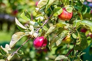 253 County Hwy Ce, Kaukauna, WI 54130 - Photo 33