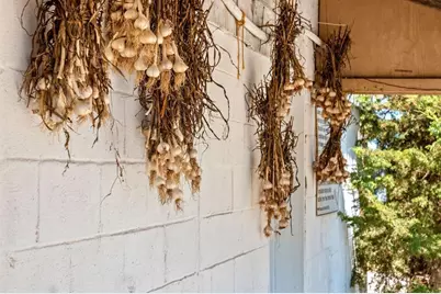 253 County Hwy Ce, Kaukauna, WI 54130 - Photo 35