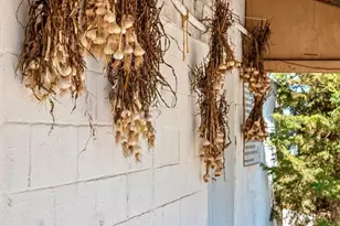 253 County Hwy Ce, Kaukauna, WI 54130 - Photo 35