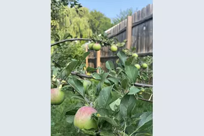 517 S Locust Street, Appleton, WI 54914 - Photo 41