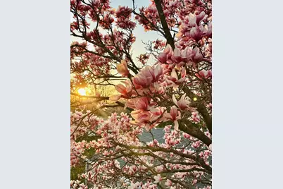 702 W 20th Avenue, Oshkosh, WI 54902 - Photo 35