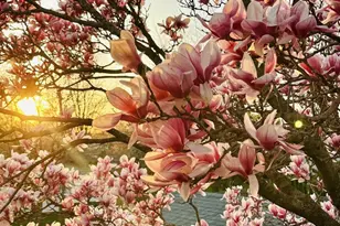 702 W 20th Ave, Oshkosh, WI 54902 - Photo 35