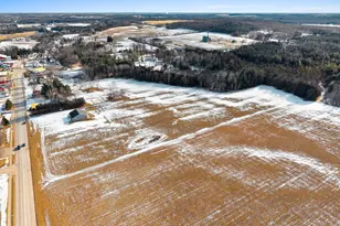 1007 Schabow St, Gresham, WI 54128 - Photo 83