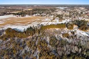 1007 Schabow St, Gresham, WI 54128 - Photo 89