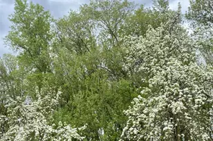 3405 CTH C, Pulaski, WI 54162 - Photo 45