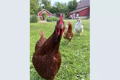 3405 Cth C, Pulaski, WI 54162 - Photo 31