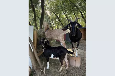 3405 Cth C, Pulaski, WI 54162 - Photo 43